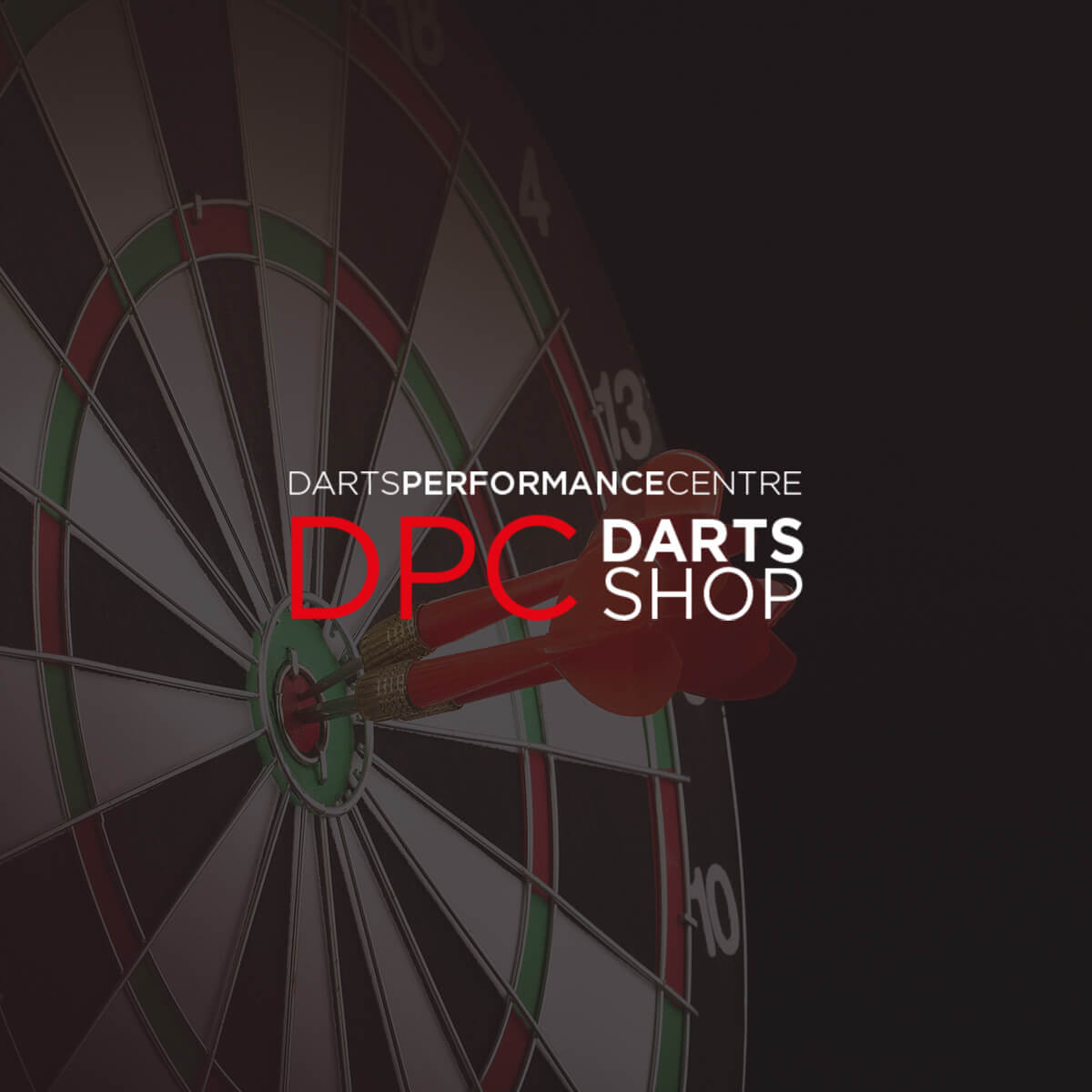 The Gift of Excellent Darts Darts Performance Centre 